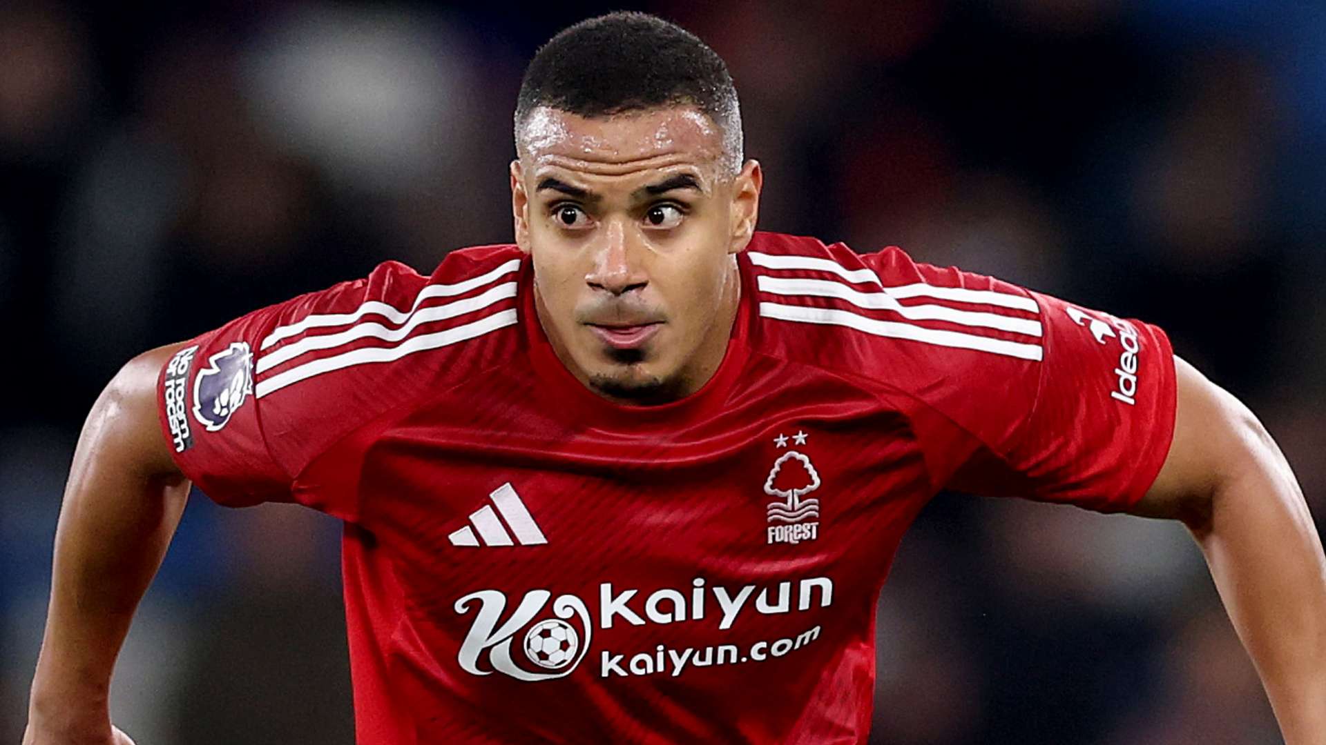 在此期间 在此期间